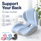 Ergonomic Seat Cushion With Lumbar Support