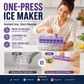 Press-Type Ice Cube Mold with Storage Box and Lid