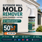 Fast-Acting Wall Mold Remover Spray