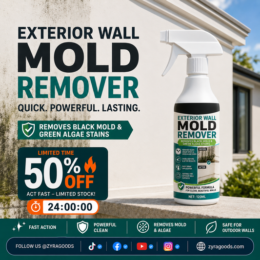 Fast-Acting Wall Mold Remover Spray