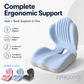 Ergonomic Seat Cushion With Lumbar Support