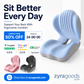 Ergonomic Seat Cushion With Lumbar Support