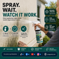 Fast-Acting Wall Mold Remover Spray